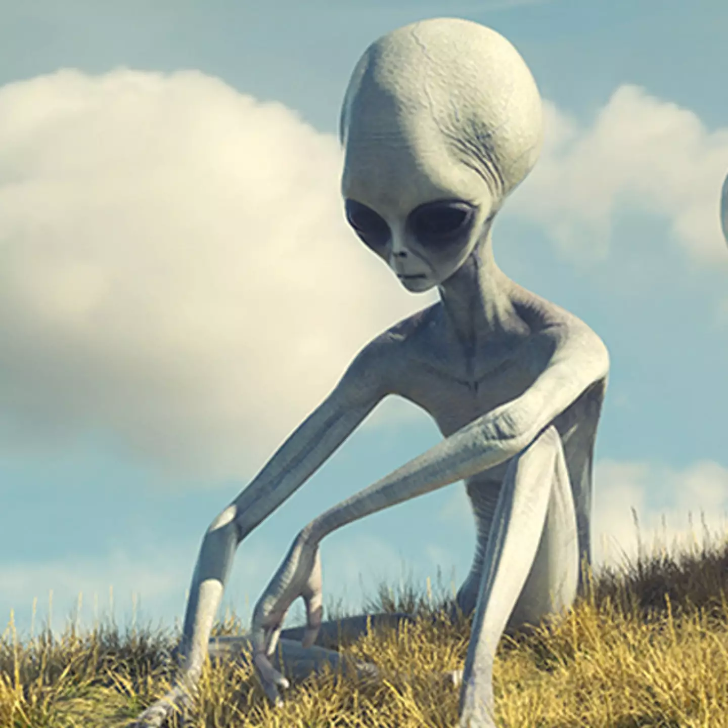 Will the US confirm that aliens exist in 2025?